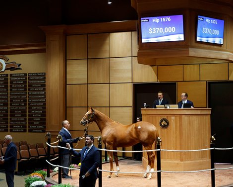 Hip 1576, Fasig-Tipton October Sale 2025