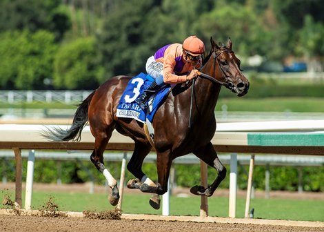 Tamara wins the 2025 Chillingworth Stakes at Santa Anita Park