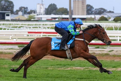Inglis 2025 Ready2Race Sale, Lot 68