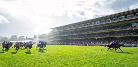 Daryz wins the 2025 Arc de Triomphe