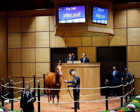 Hip 268, Fasig-Tipton October Sale 2025