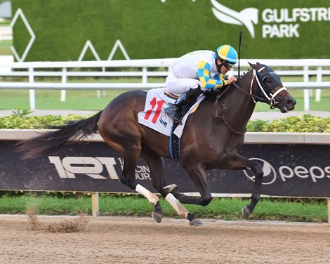 Khozalite wins the 2025 Florida Sire Affirmed Stakes at Gulfstream Park