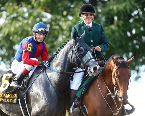 Desvio wins the 2025 Sycamore Stakes at Keeneland