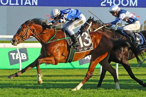 Royal Supremacy wins the 2025 Metropolitan Handicap at Randwick Racecourse ridden by Robbie Dolan and trained by Ciaron Maher