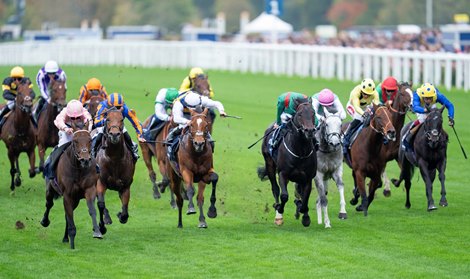 Cicero's Gift (Jason Watson,left) wins the QEII Stakes<br>
Ascot 18.10.25 Pic: Edward Whitaker