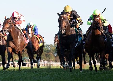 Rhetorical and Irad Ortiz win G1 Coolmore Turf Mile, Keeneland Racetrack, Lexington, KY, 10-4-25, Mathea Kelley-Bloodhorse