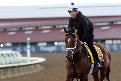 October 29 2025:  Journalism exercises on the track during morning workouts for trainer Michael McCarthy at Del Mar Thoroughbred Club in Del Mar, California Carolyn Simancik/BloodHorse Magazine