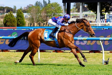 Globe wins the 2025 Might and Power Stakes at Caulfield Racecourse ridden by Blake Shinn and trained by Mick Price and Michael Kent Jr.