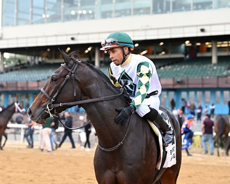Love Cervere wins the 2025 Glen Cove Stakes at Aqueduct Racetrack