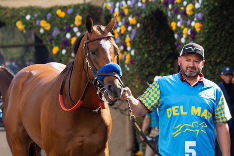 Plutarch in the paddock before the Thoroughbred Aftercare Alliance Stakes at Del Mar Racetrack in Del Mar, CA on October 31, 2025.
