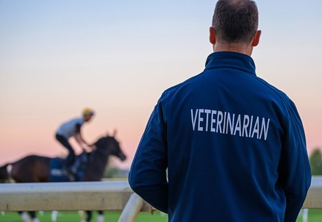 Veterinarian observing a horse while training on the racetrack.<br>
Veterinary track work with Dr. George Munday and Dr. Will Farmer at Keeneland on Oct. 2, 2025.