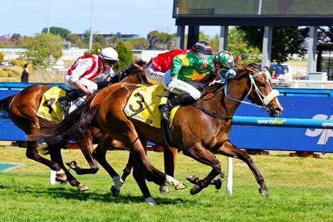 Ole Dancer wins the 2025 Thousand Guineas at Caulfield Racecourse ridden by Blake Shinn & Trained by Peter Moody & Katherine Coleman