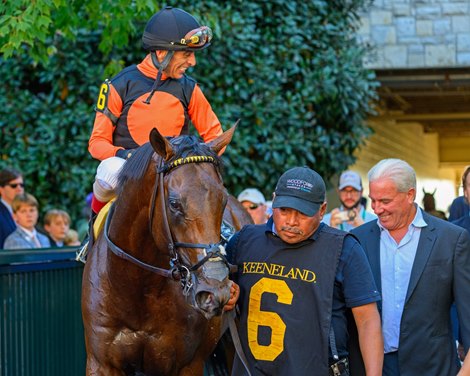 Schwarzenegger  with John Velazquez walking into the winner circle with trainer Wesley Ward after winning the  Indian Summer Presented by Keeneland Select Stakes  at Keeneland on Oct. 5, 2025.