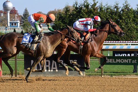 Concurrently, Maiden Win, Aqueduct Racetrack, November 2 2025