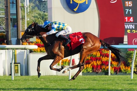 The Pierre Ng-trained Galaxy Patch, with James McDonald aboard, takes the HK$5.35 million G2 BOCHK Private Wealth Jockey Club Mile (1600m) at Sha Tin today (Sunday, 23 November), marking Galaxy Patch’s fourth victory in Group races