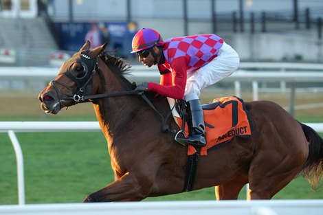 Alluring Angel wins the 2025 Long Island Stakes at Aqueduct Racetrack
