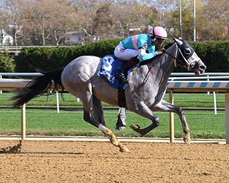 My World wins the 2035 Nashua Stakes at Aqueduct Racetrack