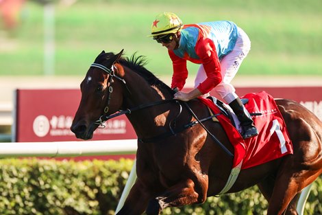 The David Hayes-trained Ka Ying Rising, with Zac Purton aboard, takes the HK$5.35 million G2 BOCHK Private Banking Jockey Club Sprint (1200m), his 15th consecutive win at Sha Tin today (Sunday, 23 November)