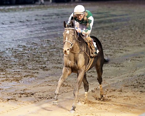 Sleepingonfreedom - Starter Alw - CD - 112225