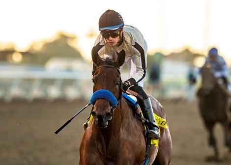 Cicero Farms' Hope Road and jockey Juan Hernandez win the $100,000 Bayakoa Stakes Sunday, November 30, 2025, at Del Mar Thoroughbred Club, Del Mar, CA.Benoit Photo