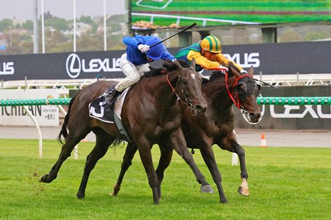 Ceolwulf (inside) wins the Champions Mile at Flemington Racecourse