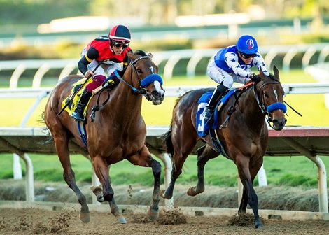Revera and jockey Antonio Fresu, left, outleg Himika (Juan Hernandez), right, to win the $100,000 Desi Arnaz Stakes, Sunday, September 16, 2025 at Del Mar Thoroughbred Club, Del Mar CA.<br><br />
© BENOIT PHOTO