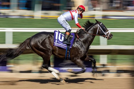 Bentornato with Irad Ortiz, Jr. wins the Sprint (G1) at Del Mar Racetrack in Del Mar, CA on November 1, 2025.