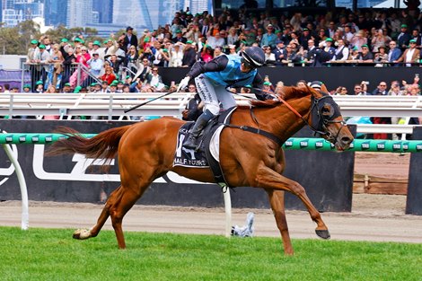 Half Yours (AUS), Jamie Melham up, wins the 2025 Melbourne Cup at Flemington Racecourse