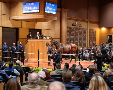 HIP 135 PUCA by Big Brown out of Boat’s consigned by Elite goes through the ring at $5,000.000 at the Fasig-Tipton November Sale Nov. 3 2025 in Lexington, KY.  Photo BY ©Anne Eberhardt.
