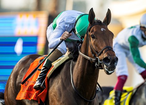 Augustin Stables' Truly Quality and jockey Mirco Demuro win the Grade II, $200,000 Hollywood Turf Cup, Friday, November 28, 2025 at Del Mar Thoroughbred Club, Del Mar CA. © BENOIT PHOTO