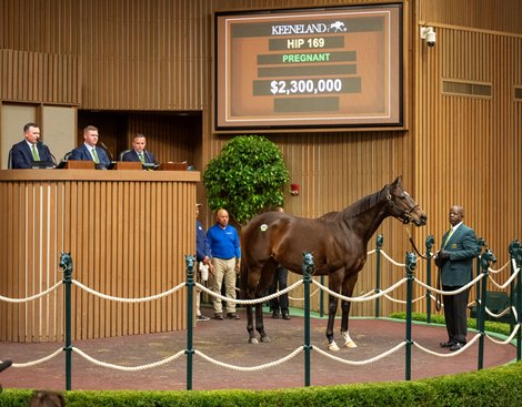 HIP 169, mare by Justify out of Flowering Peach from the Denali Stud consignment goes through the ring at $2.3M at the Keeneland November Breeding Stock sale Tuesday Nov. 4 2025 in Lexington, KY.  Photo BY ©Anne Eberhardt.