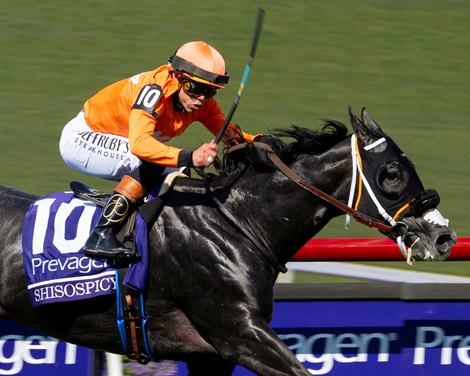 Shisospicy wins the 2025 Breeders' Cup Turf Sprint