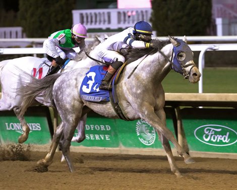 Moonlight wins the 2025 Cherokee Mile Stakes at Churchill Downs