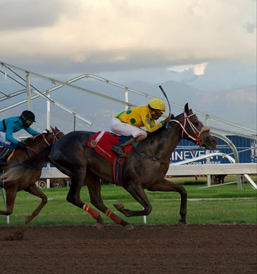 Rideallday wins 2025 Port Royal Sprint at Caymanas Park
