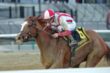 Fully Subscribed wins the 2025 Mother Goose Stakes at Aqueduct Racetrack