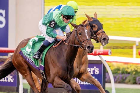 Gezora with Mickael Barzalona wins the Filly & Mare Turf (G1T) at Del Mar Racetrack in Del Mar, CA on November 1, 2025.