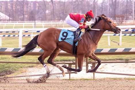 Lyudmila, Maiden Win, Laurel Park, November 21 2025