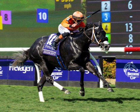 Shisospicy with Irad Ortiz Jr. wins the Turf Sprint (G1T) at Del Mar Racetrack in Del Mar, CA on November 1, 2025.