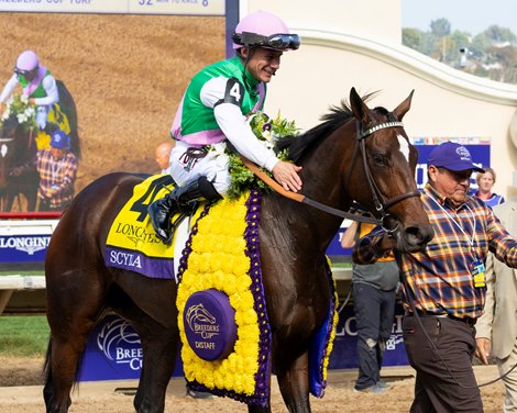 Scylla with Junior Alvarado wins the Distaff (G1) at Del Mar Racetrack in Del Mar, CA on November 1, 2025.