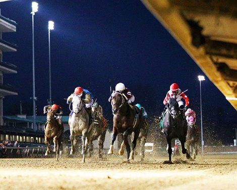 Magnitude wins the 2025 Clark Stakes at Churchill Downs