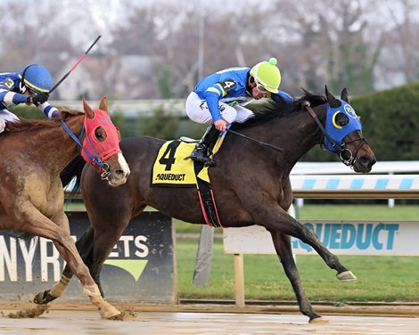 Khali Magic wins the 2025 New York Stallion Series Stakes - Staten Island Division at Aqueduct Racetrack