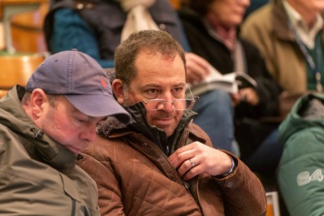 Tattersalls December Mare Sale 01/12/2025