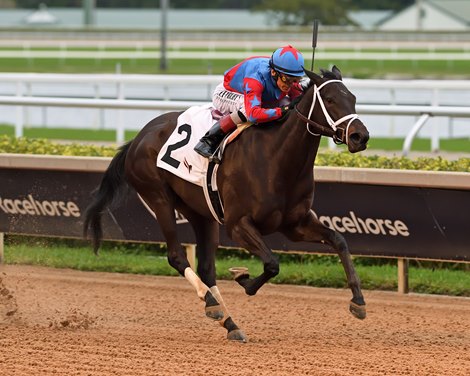 Imperatrice - MSW - GP - 121325