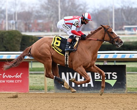 Fully Subscribed wins the Comely Stakes at Aqueduct, December 7, 2025