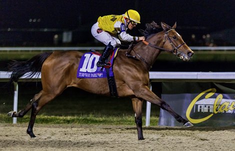 Mink's Palace wins the 2025 Holiday Inaugural Stakes at Turfway Park