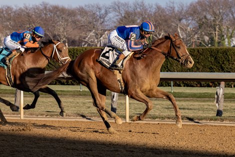 Paladin wins the 2025 Remsen Stakes at Aqueduct Racetrack