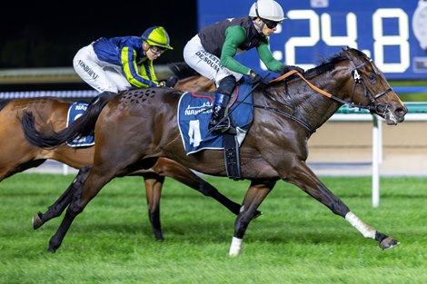 Power For Power wins the 2025 Palm Jebel Ali Maiden at Meydan Racecourse