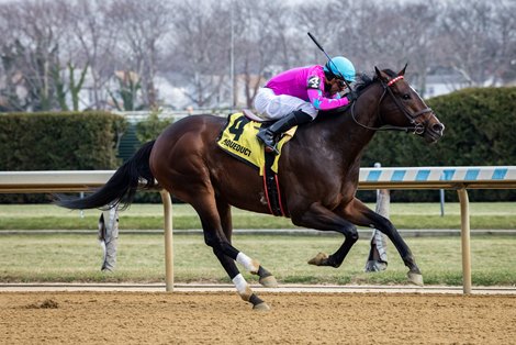 Just Beat the Odds wins the 2025 Elite Power Stakes at Aqueduct Racetrack