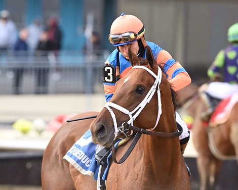 Zany wins the 2025 Demoiselle Stakes at Aqueduct Racetrack