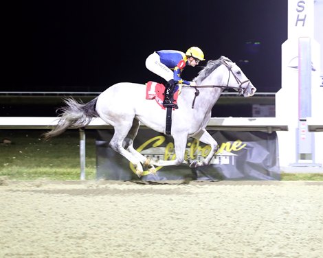 Envision - MSW - TP - 122625